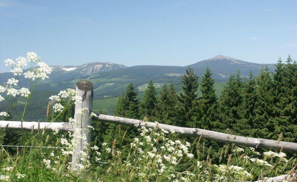Pension & Restaurace Zeleny Mlyn Žacléř Dış mekan fotoğraf